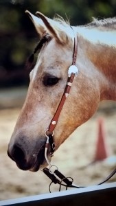 WP_20150425_15_19_46_Pro